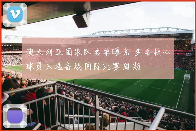 澳大利亚国家队名单曝光 多名核心球员入选备战国际比赛周期