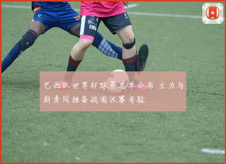 巴西队世界杯球员名单公布 主力与新秀同框备战淘汰赛考验