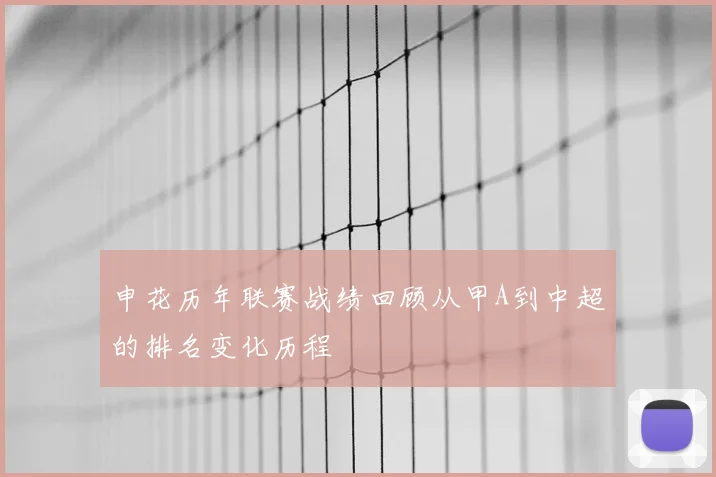 申花历年联赛战绩回顾从甲A到中超的排名变化历程