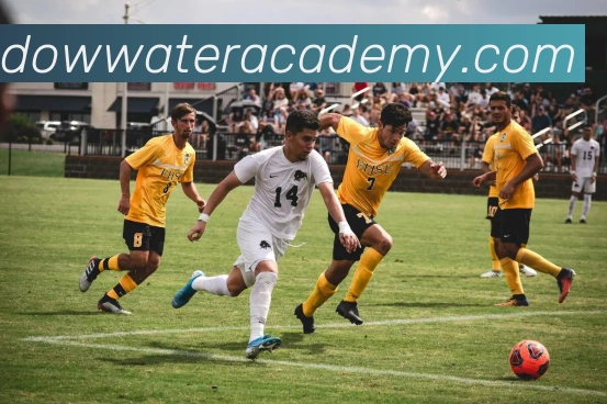 世界杯官网线上平台服务体系